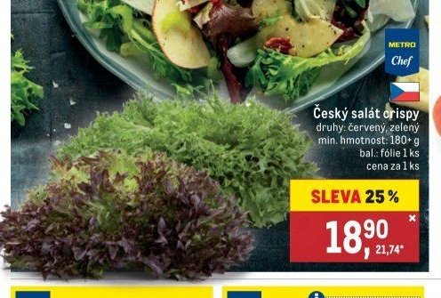 Český salát crispy