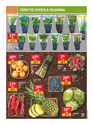 akční leták Globus 10.6.2021-16.6.2021