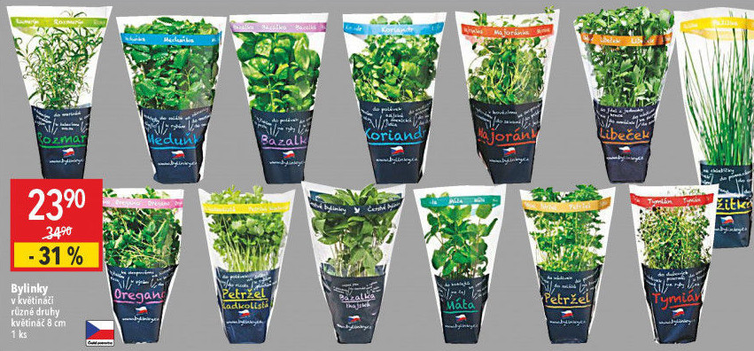 Bylinky v květináči Bylinky s.r.o.