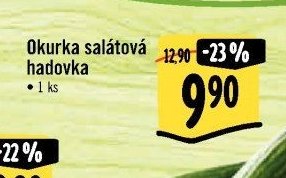 Okurka salátová hadovka