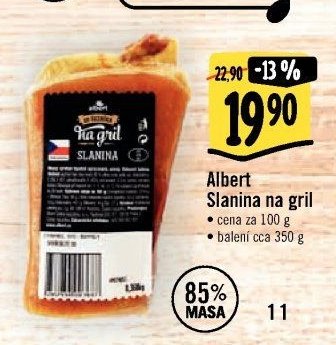 Albert Slanina na gril