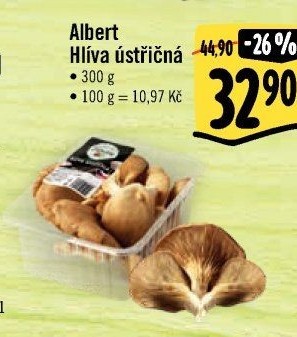 Hlíva ústřičná Albert
