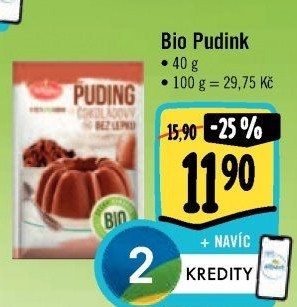 Pudink bez lepku bio Amylon