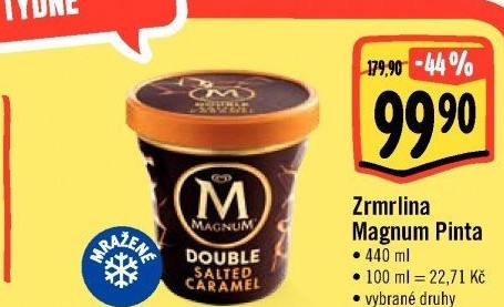 Zmrzlina v kelímku Magnum Algida