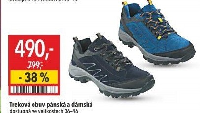 Pánská treková obuv