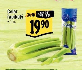 Celer řapíkatý