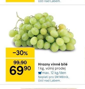 Hrozny vinné bílé