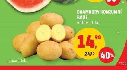 Brambory konzumní rané