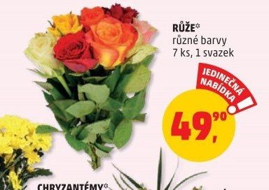 RŮŽE různé barvy 7 ks, 1 svazek