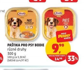 Paštika pro psy Bodie