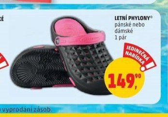 LETNÍ PHYLONY