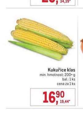 Kukuřice klas