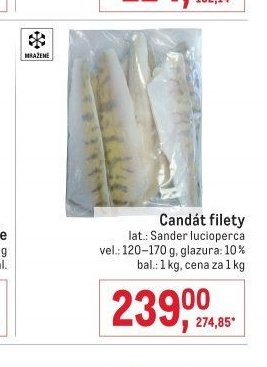 Candát filety