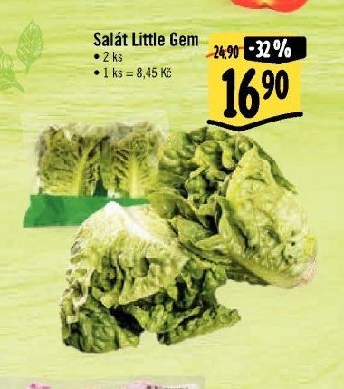 Salát Little Gem