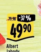 Albert Jahody