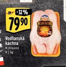 Vodňanská kachna