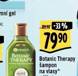 Botanic Therapy šampon na vlasy