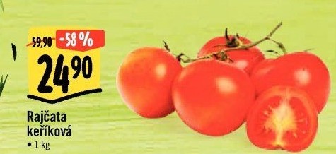 Rajčata keříková