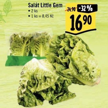 Salát little gem
