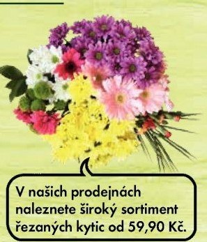 Kytice řezaná