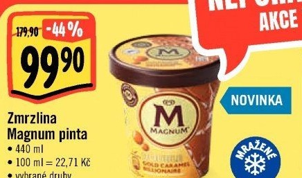 Zmrzlina v kelímku Magnum Algida