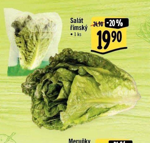 Salát římský