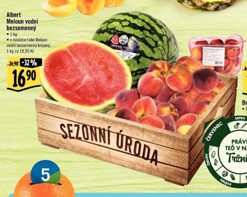 Albert Meloun vodní bezsemenný
