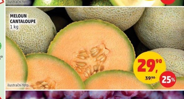 Meloun Cantaloupe