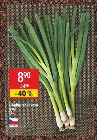 Cibulka lahůdková svazek 1 ks