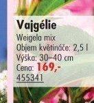Vajgélie