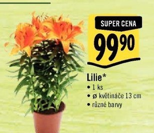 Lilie