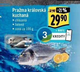 Pražma královská kuchaná Albert