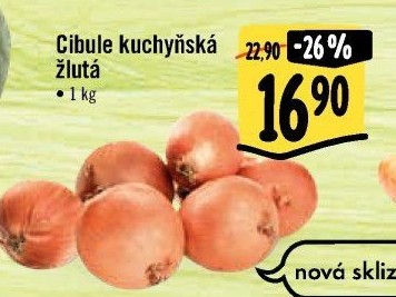 Cibule kuchyňská žlutá