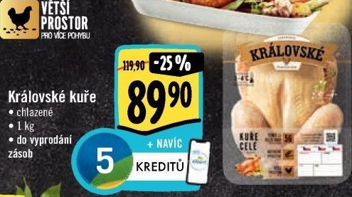 Královské kuře Albert