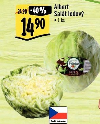 Salát ledový Albert