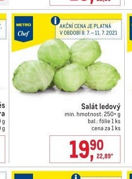 Salát ledový