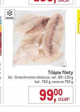 Tilápie filety