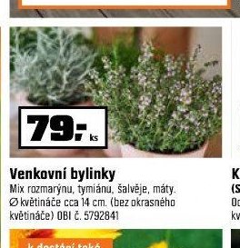 Venkovní bylinky