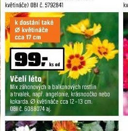 Včelí léto