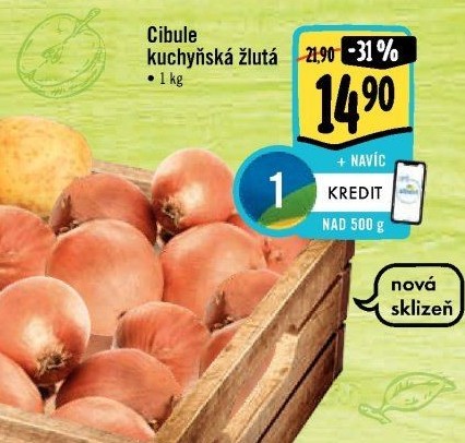 Cibule kuchyňská žlutá