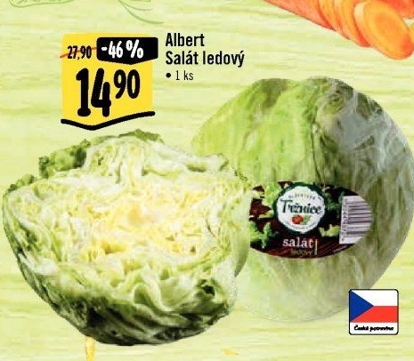 Salát ledový Albert