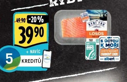 Losos - filet s kůží