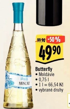 Butterfly