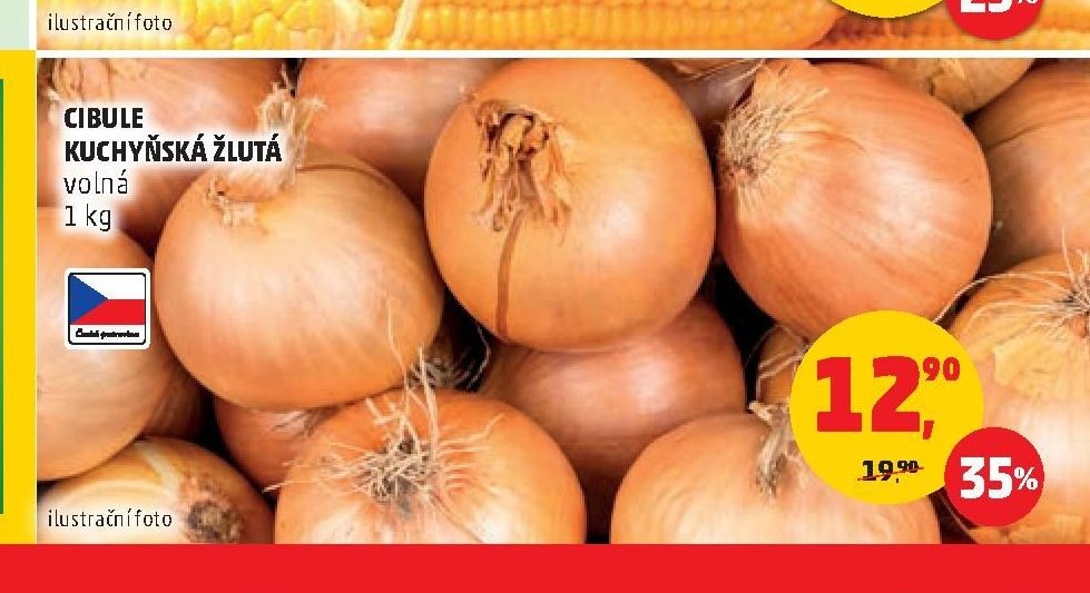 CIBULE KUCHYŇSKÁ ŽLUTÁ