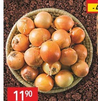 Cibule kuchyňská žlutá