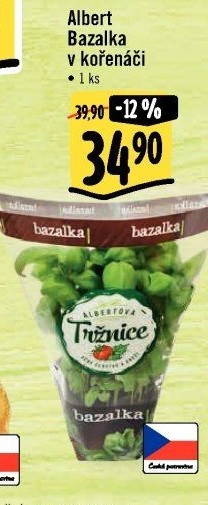 Bylinky v květináči Albert