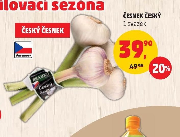 Česnek český