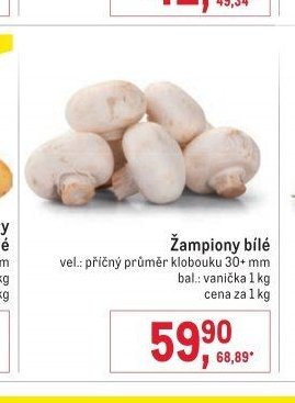 Žampiony bílé