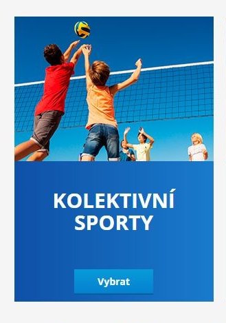 Kolektivní sporty