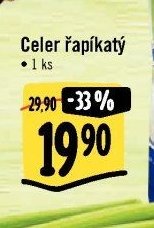 Celer řapíkatý